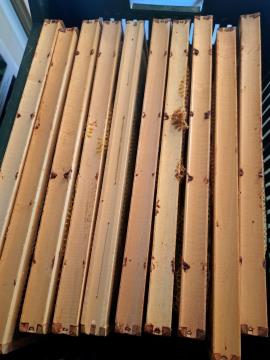 Prikaz tocenja medu 2024 01